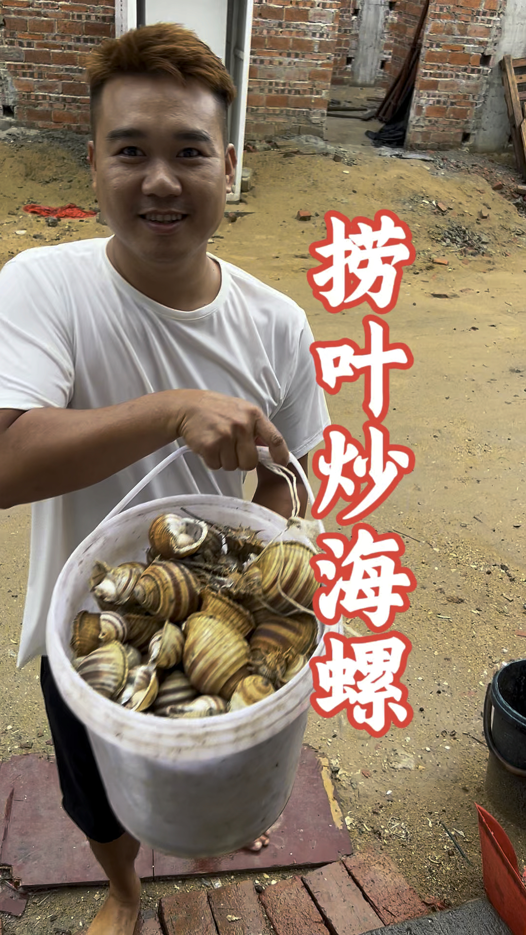 别人不想吃的海螺全送我了,今晚试试山捞叶的做法口感如何