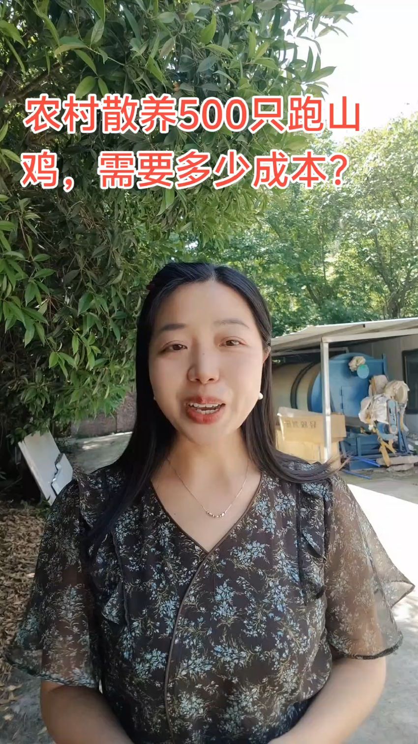 农村散养500只跑山鸡要花多少成本？