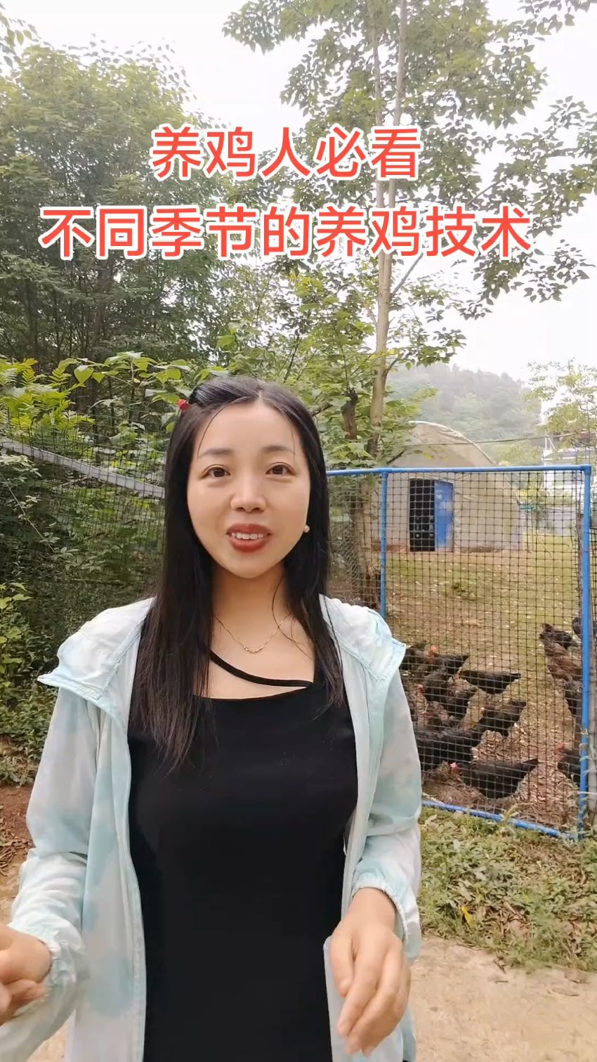 养鸡人必看的养鸡技术,不同季节的管理和操作方法