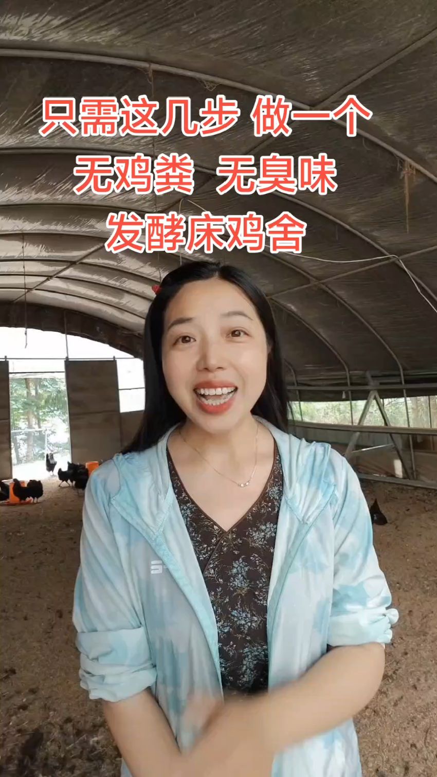 只需要这几步,做一个无鸡粪,无臭味的发酵床鸡舍