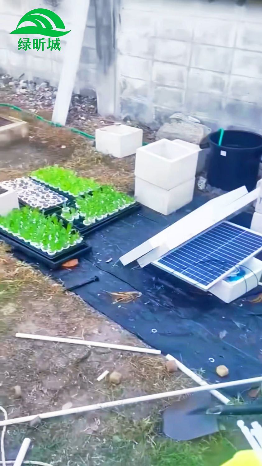 无土栽培水培塔蔬菜技术分享