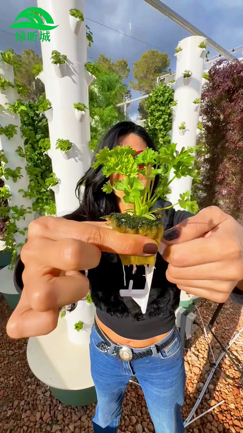 无土栽培水培塔蔬菜种植技术分享