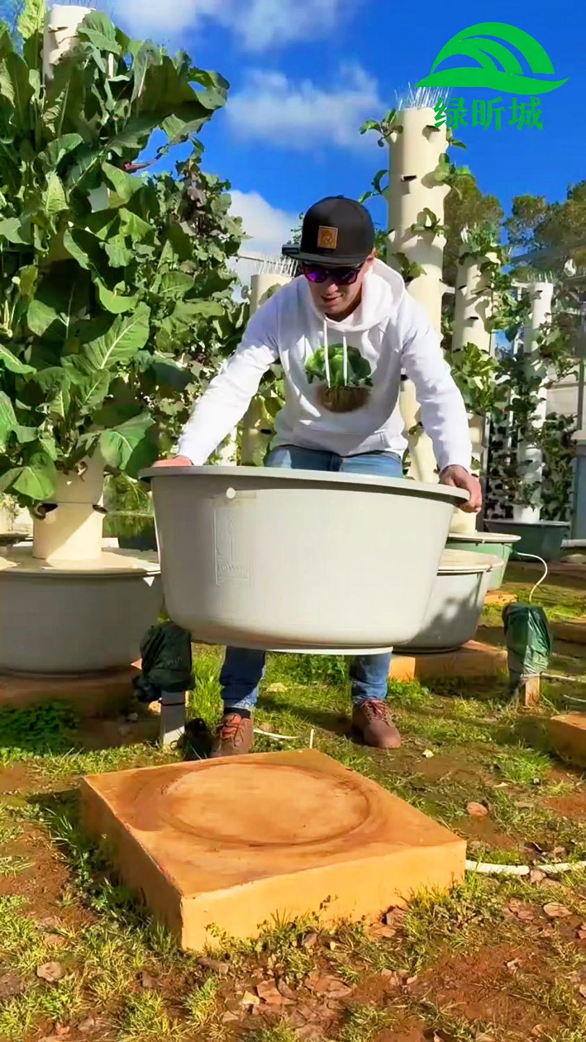 无土栽培水培塔蔬菜种植技术分享