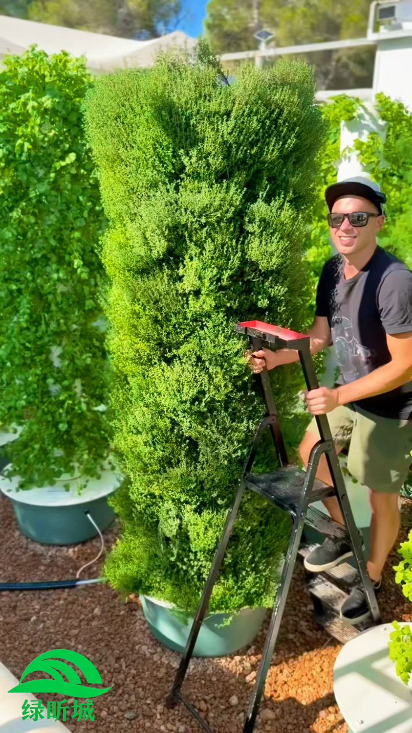 无土栽培水培蔬菜种植技术分享