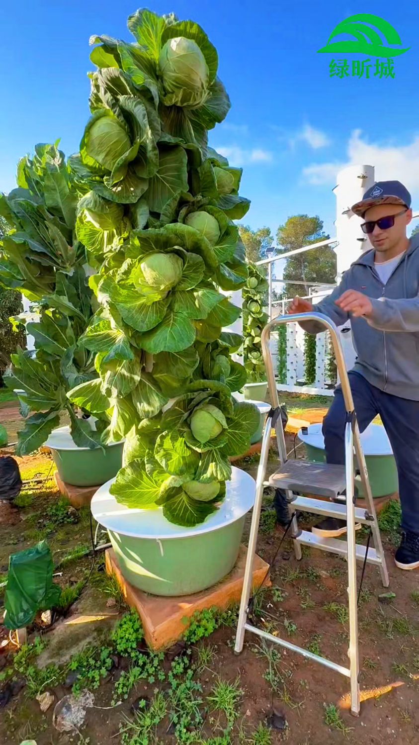 无土栽培水培塔蔬菜种植技术分享