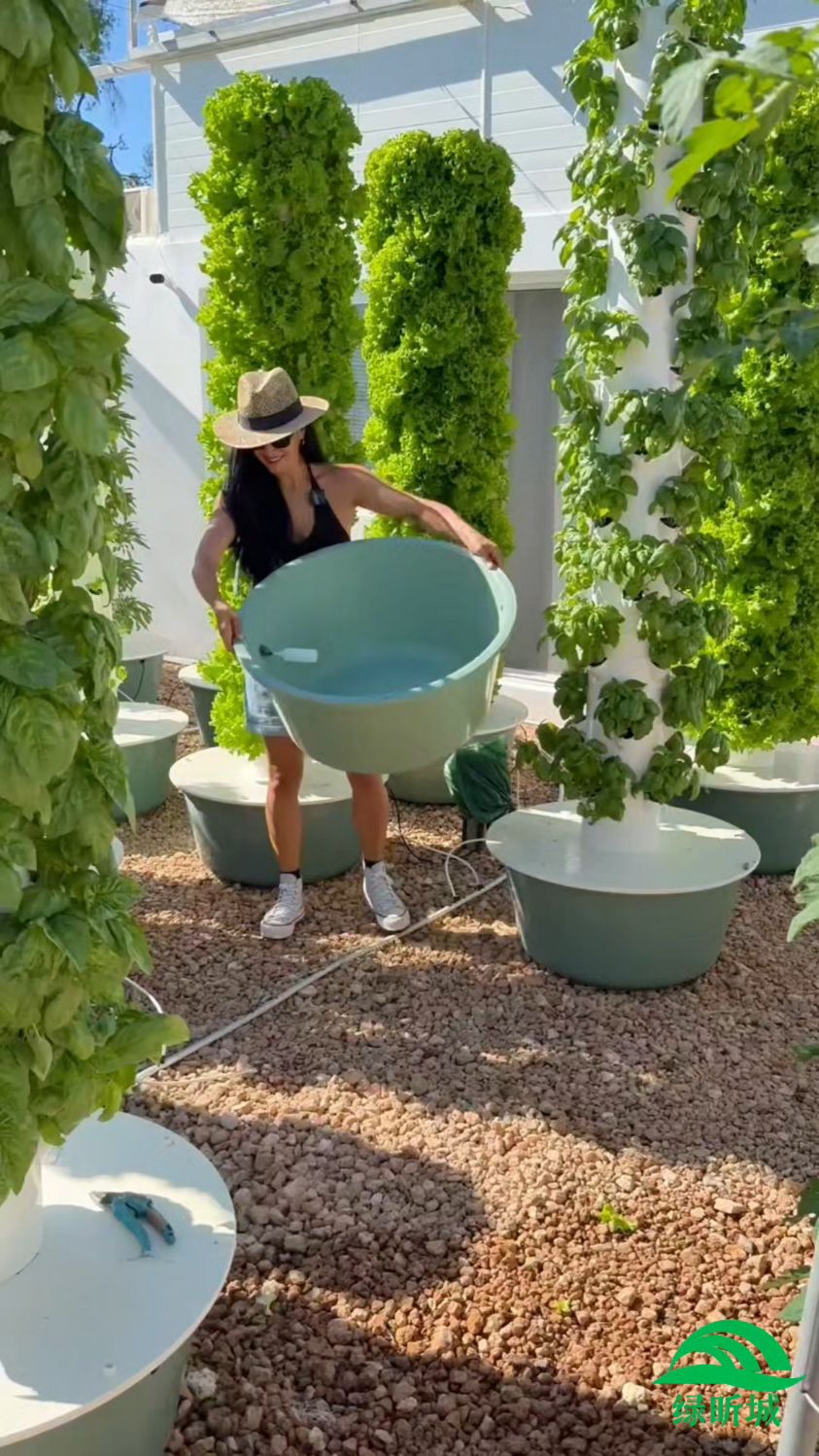 无土栽培水培塔蔬菜种植技术分享