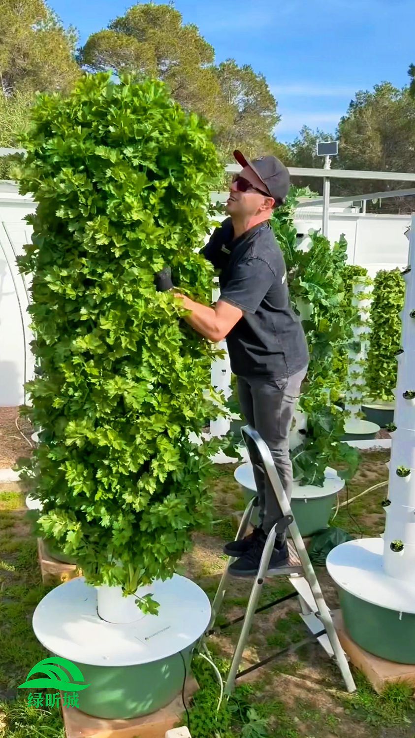无土栽培水培塔蔬菜种植技术分享