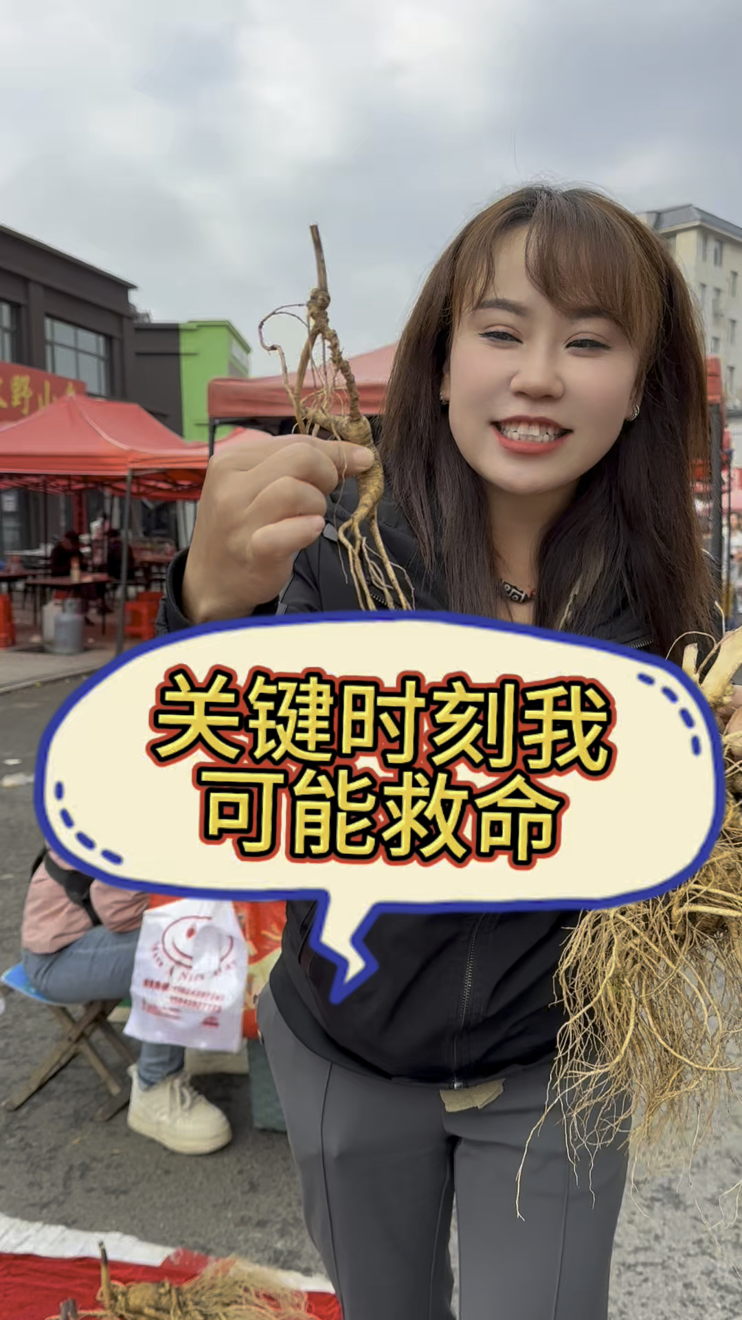 长白山野生人参放山货长啥样!