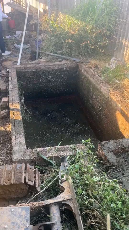 化粪池里面有条鳄鱼