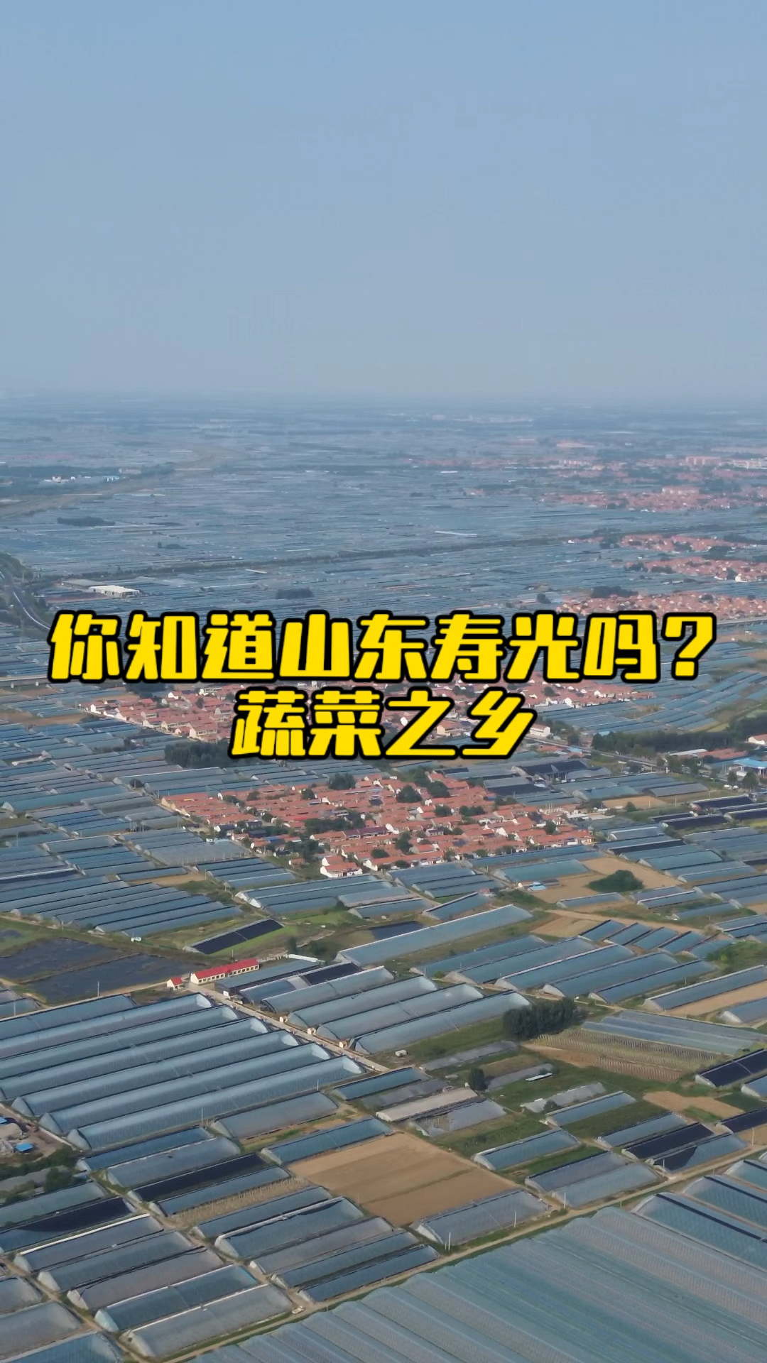 你知道山东寿光吗?中国的蔬菜之乡!