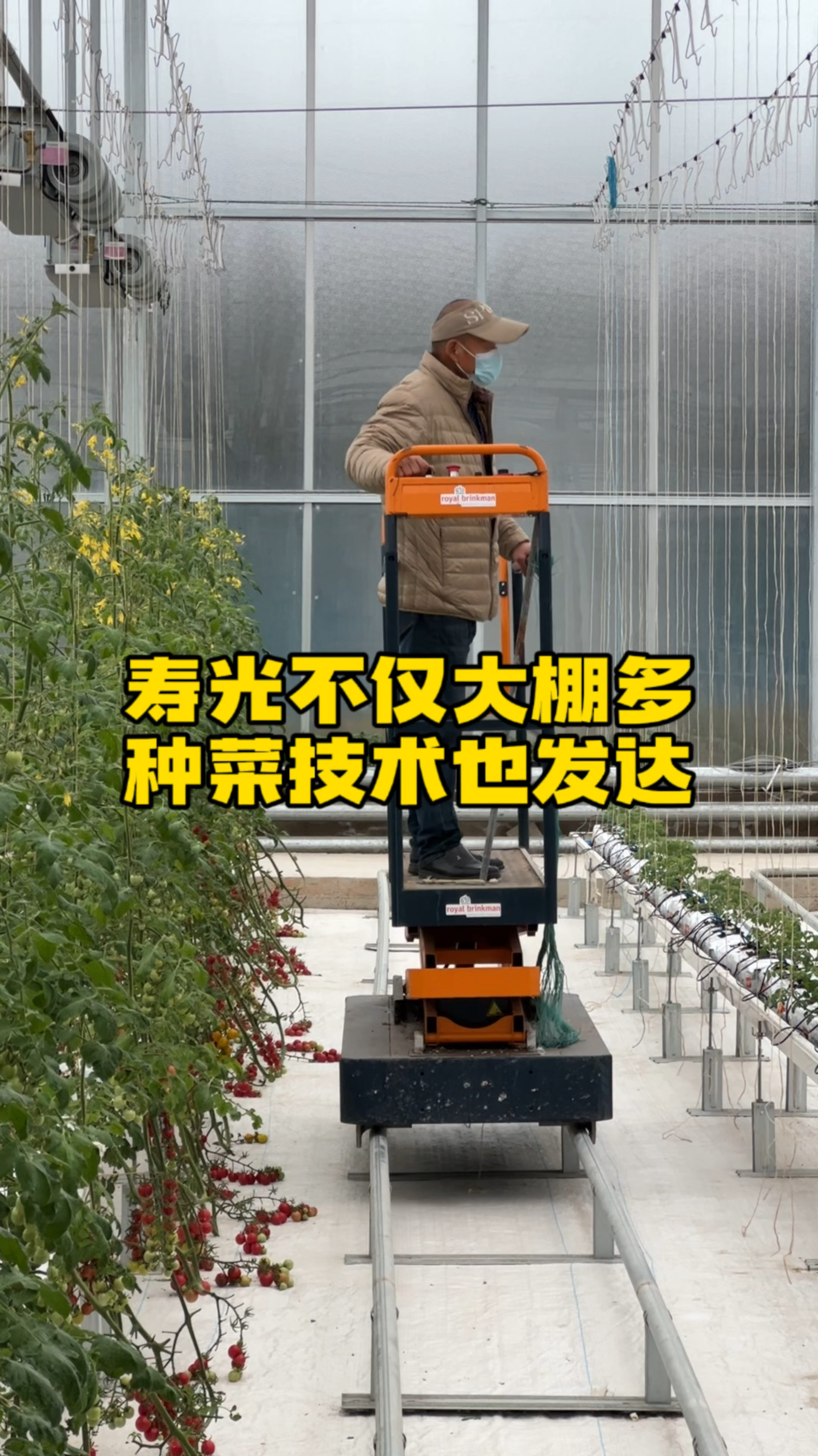 寿光不仅大棚多,种菜技术也 #智慧农业 #设施农业