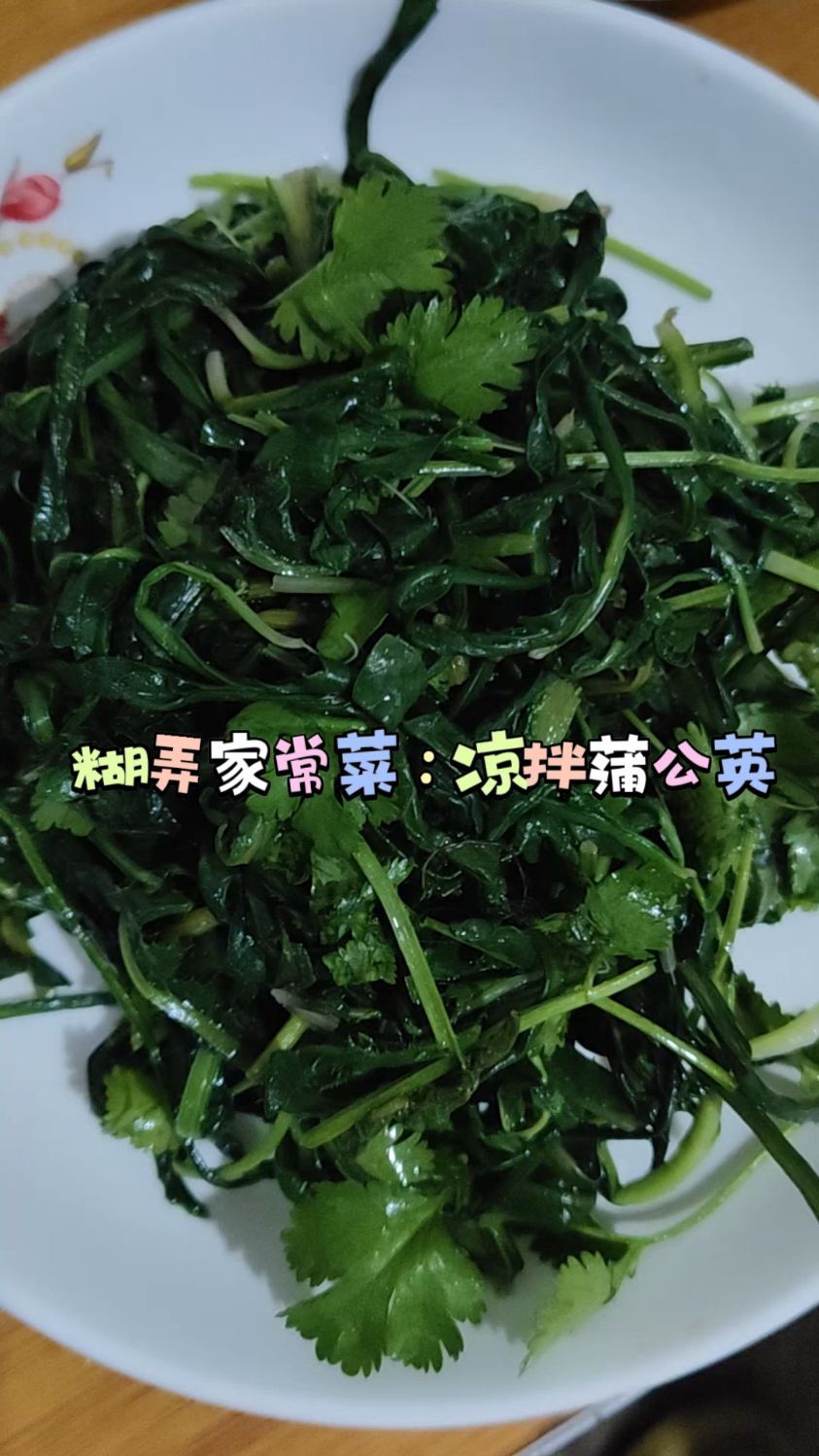 糊弄家常菜:凉拌蒲公英