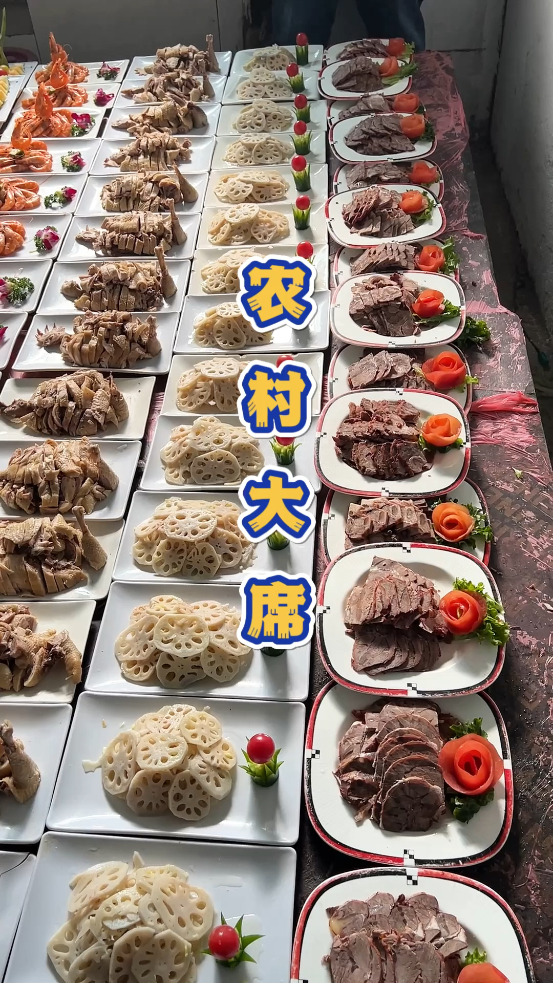 安徽萧县480一桌的农村大席