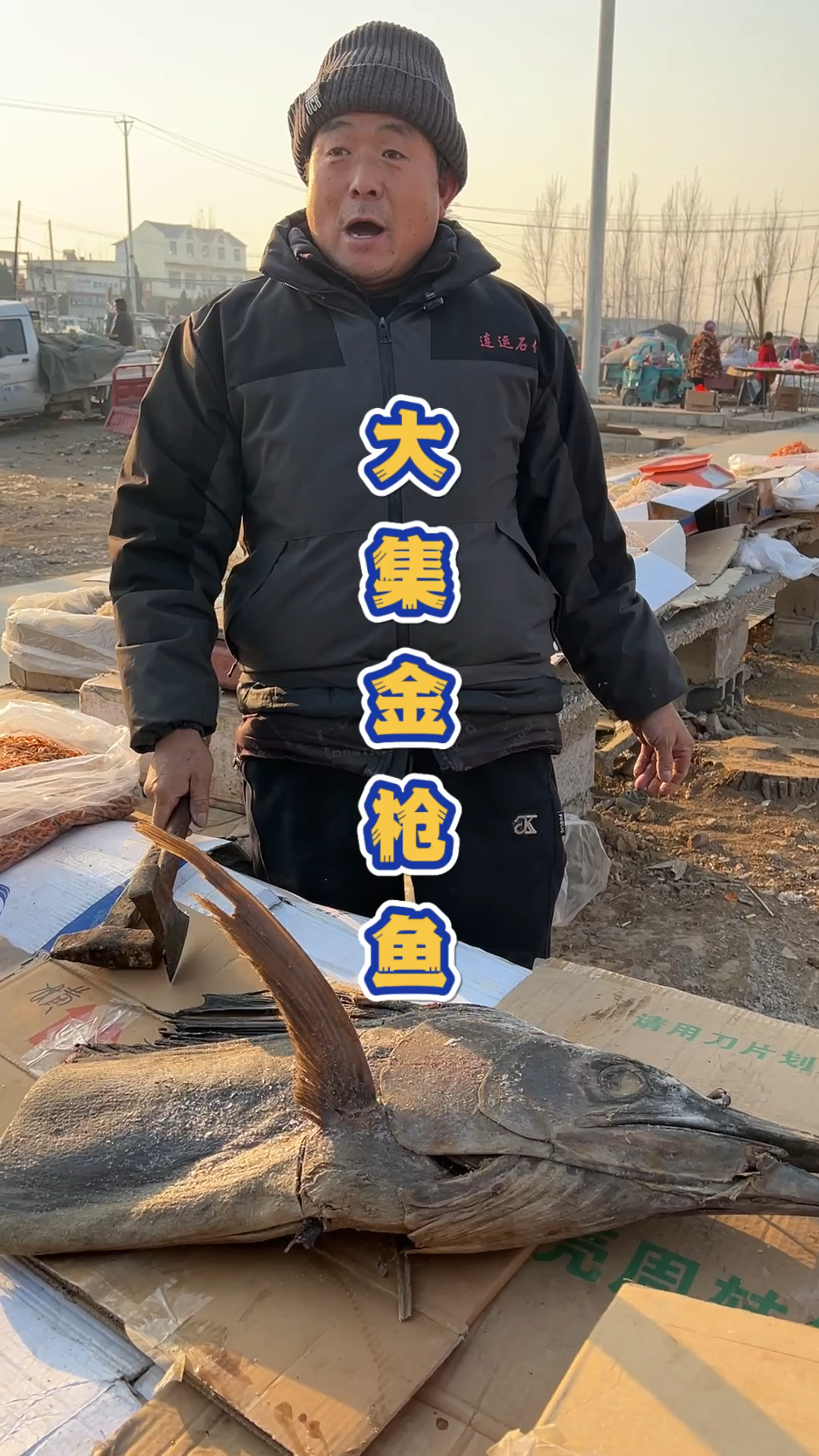 山东大街上的千年金枪鱼。