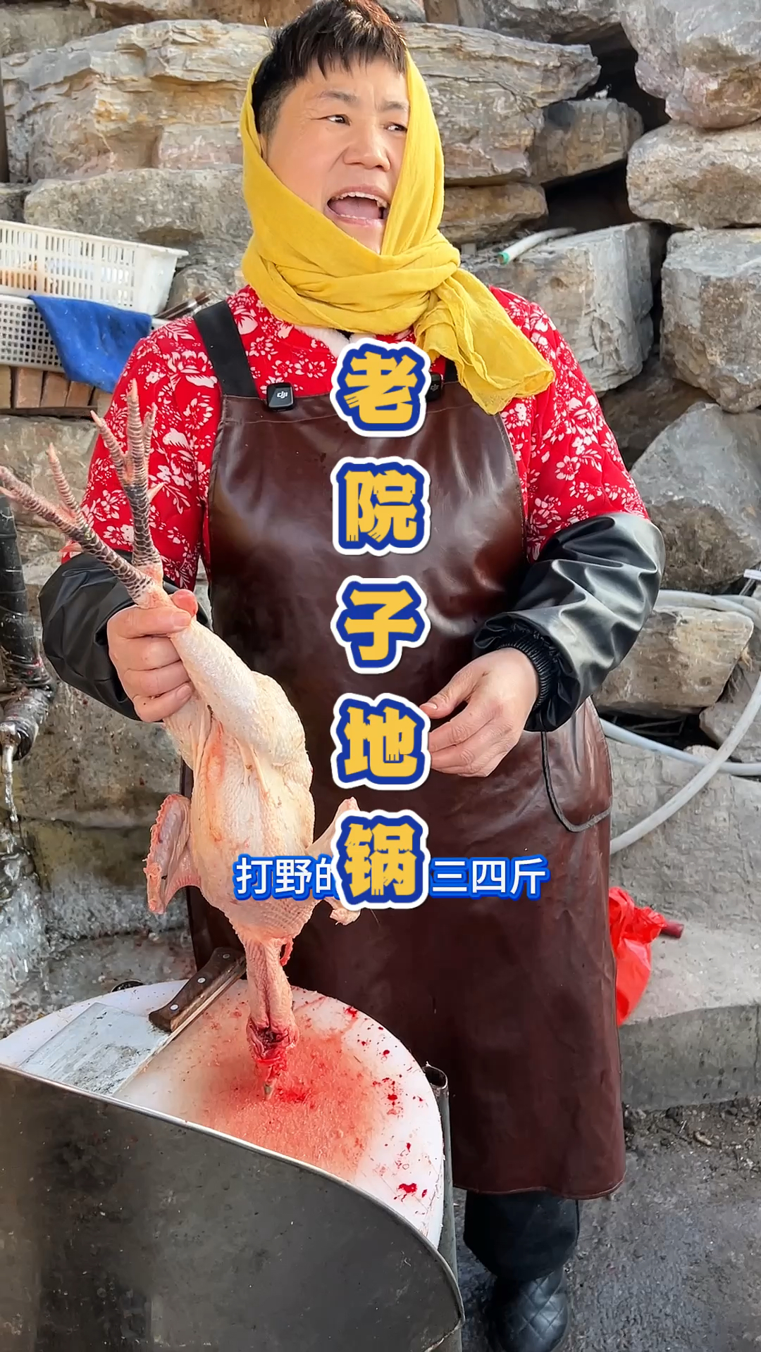 江苏徐州的地锅鸡