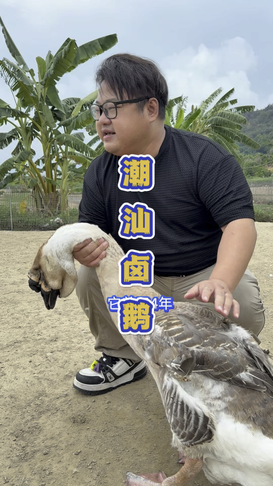 广东潮汕1280一个狮头鹅