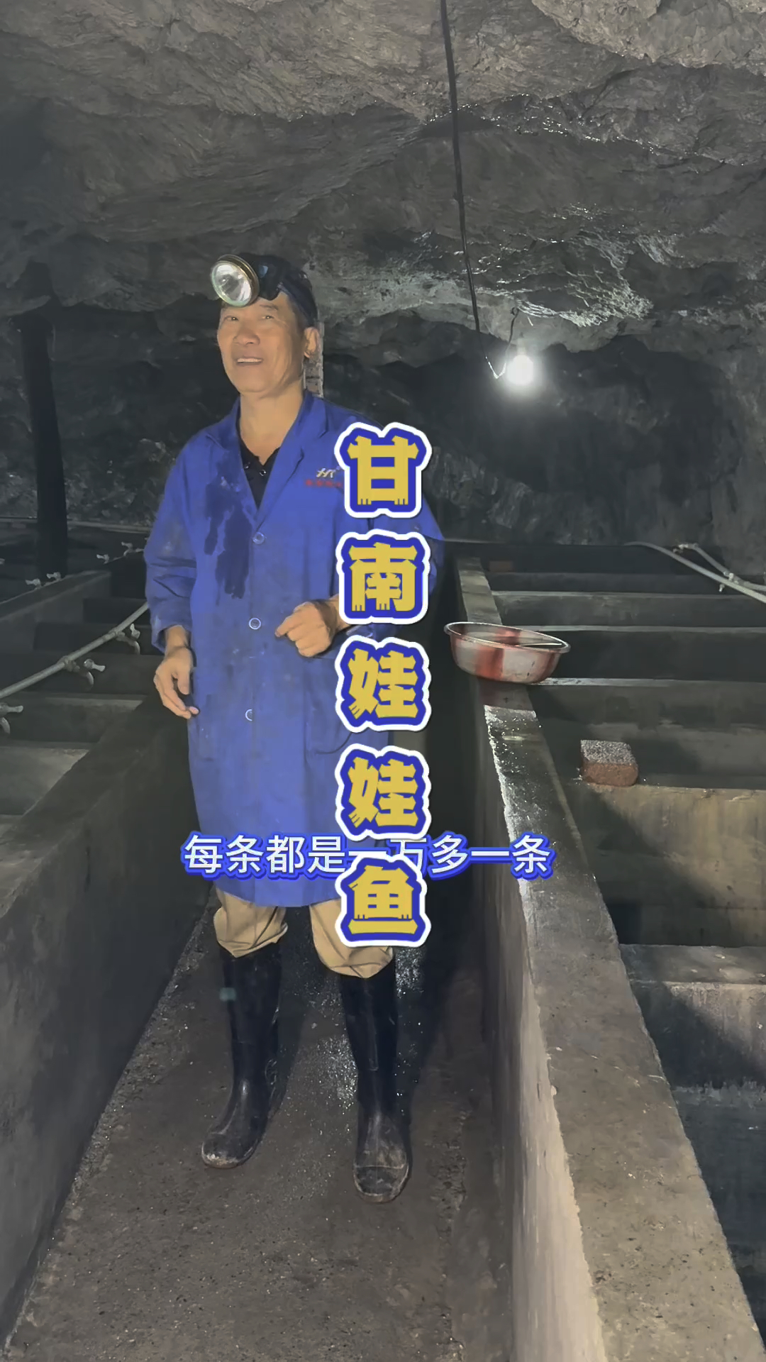 甘肃陇南的山东娃娃鱼。