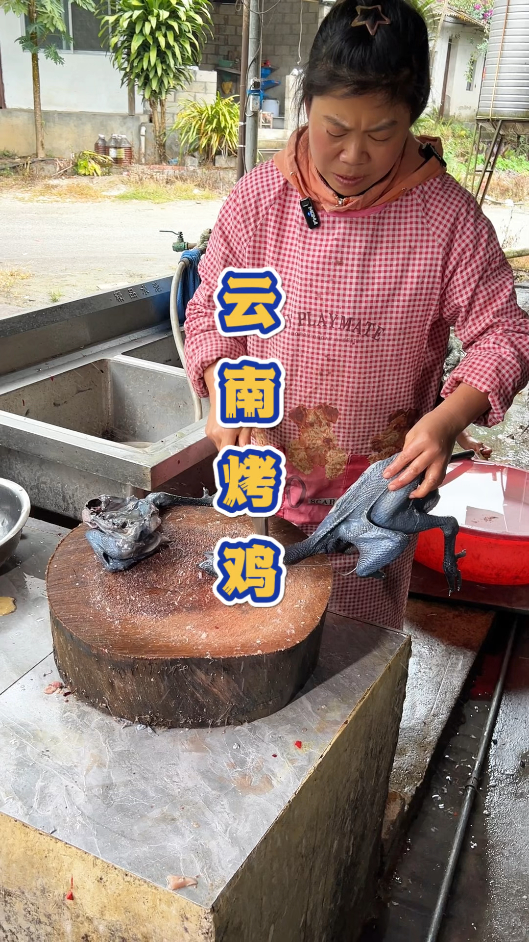 云南大山里的德宏烤鸡