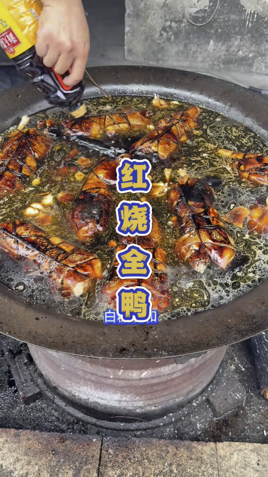 浙江海宁马路边的红烧全鸭