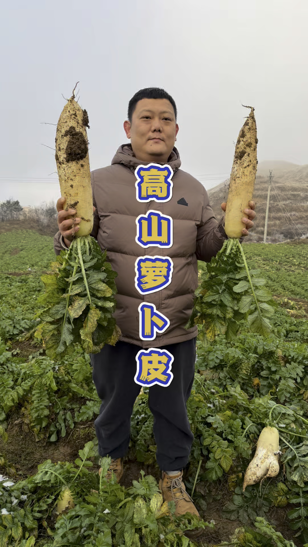 湖南的特色泡菜,高山萝卜皮