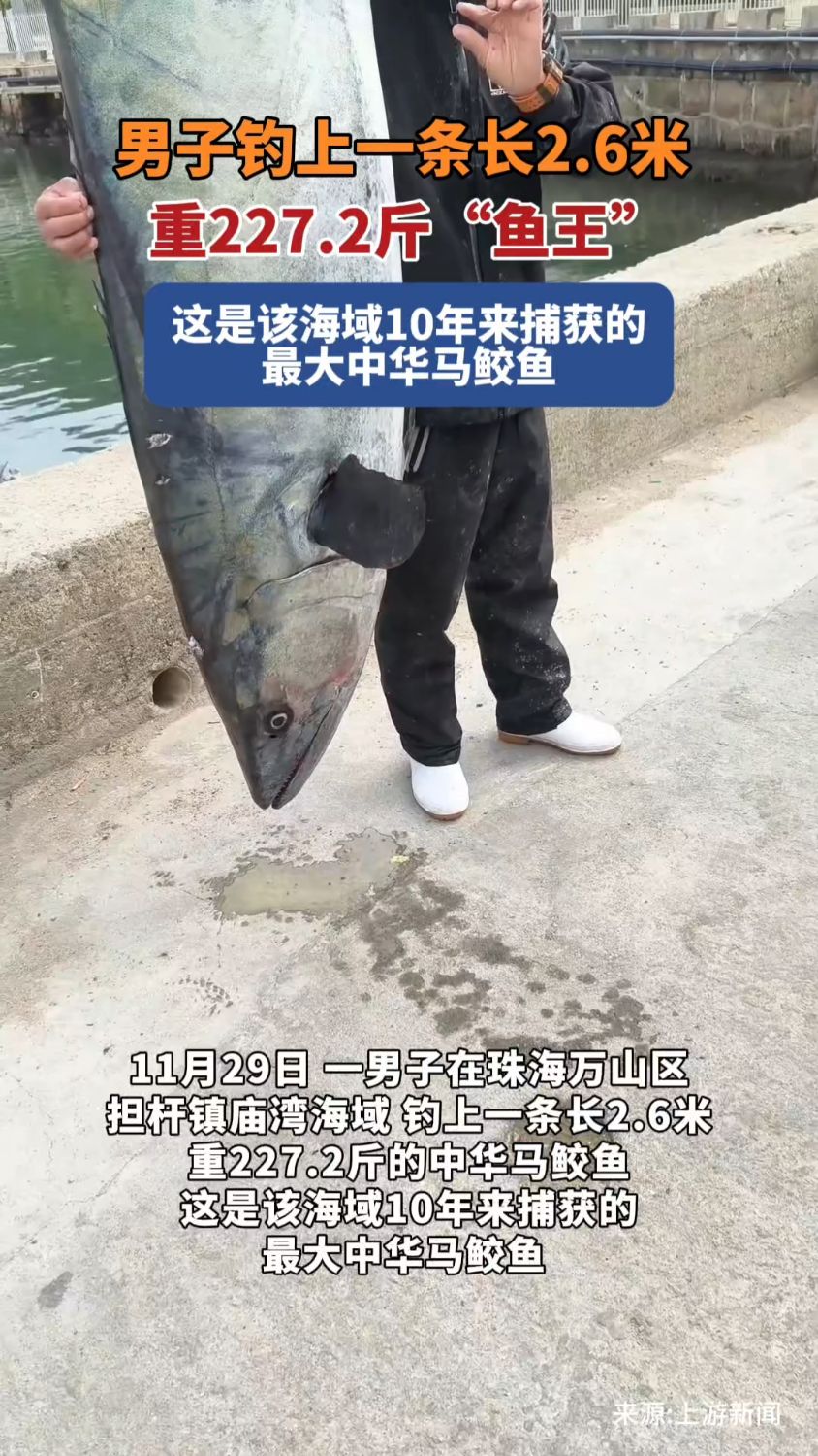 男子钓出重227.2斤鱼王引围观