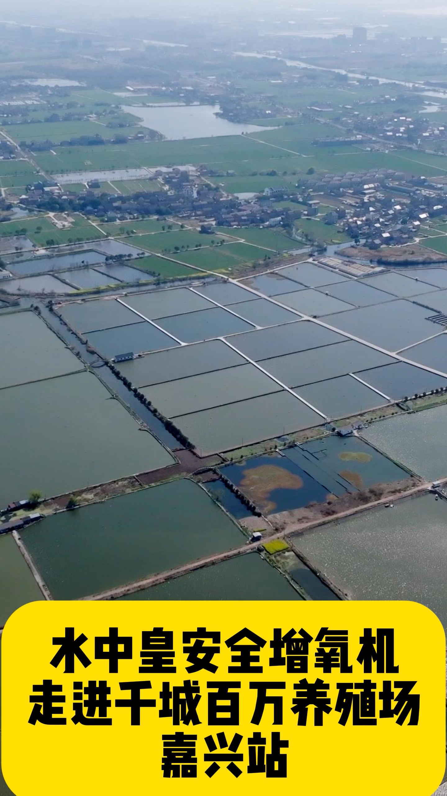 养殖要安全就用水中皇增氧机。 小金刚增氧机鱼塘养殖首选。