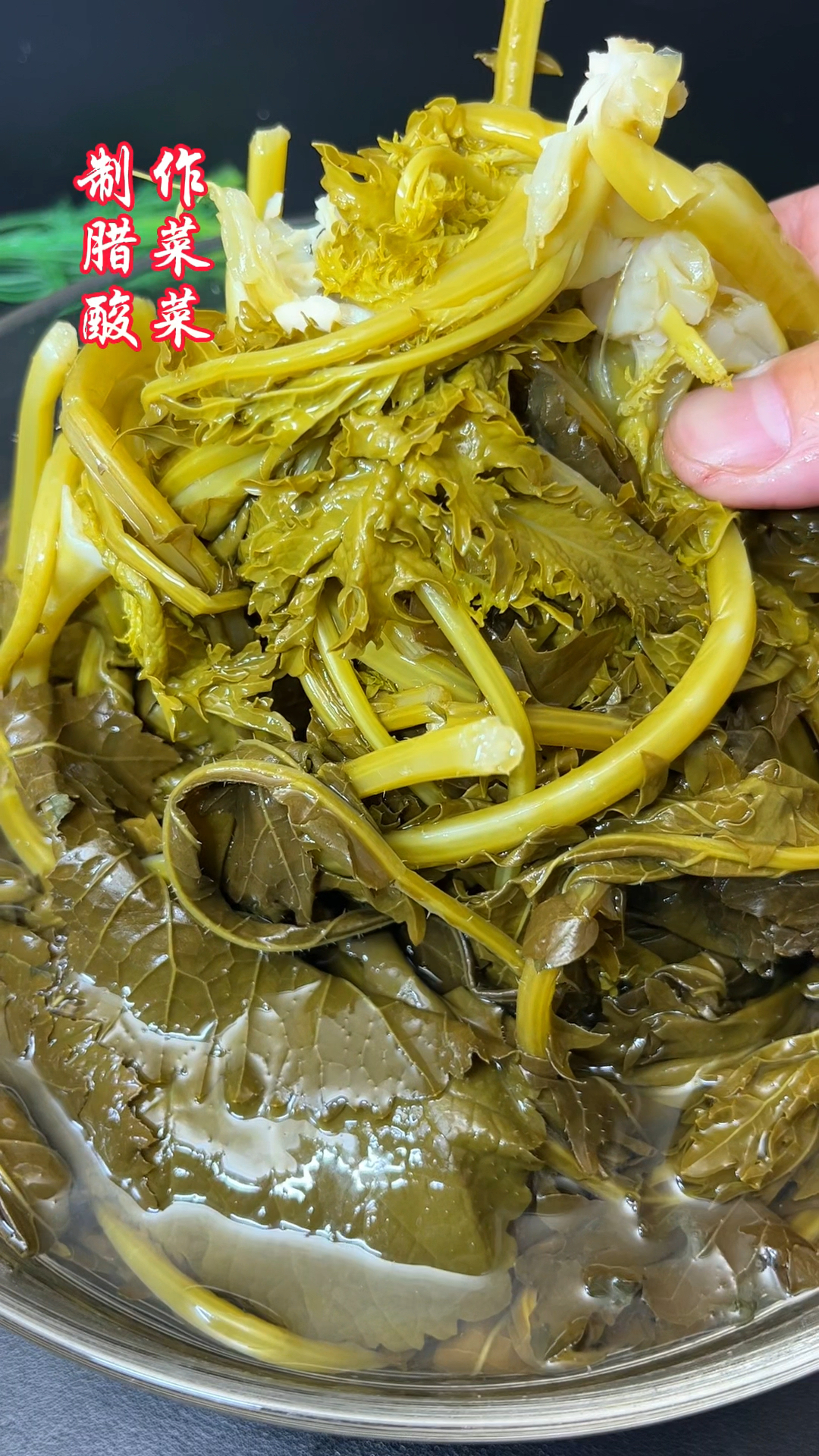 一年一度的野生腊菜长出来了,又可以吃上酸辣爽口的味道了!