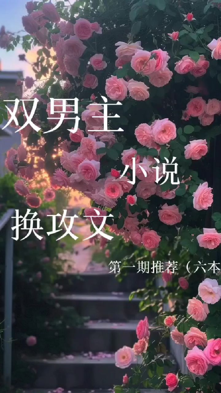 推荐六本双男主小说:换攻文