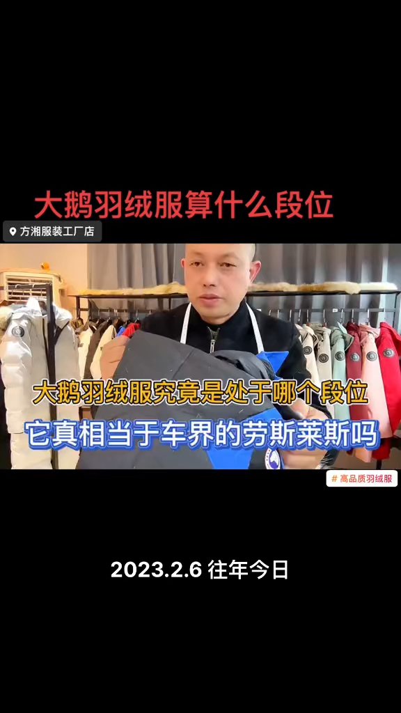 大鹅这个品牌的羽绒服算什么段位