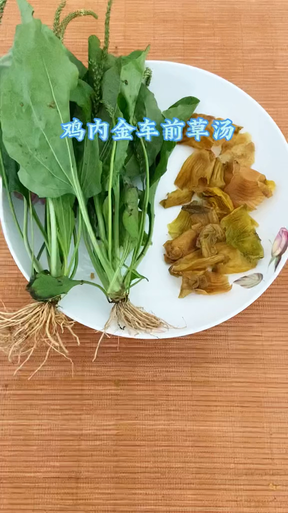 鸡内金搭车前草煮水,没想到那么好的作用,解决很多人困扰,实用