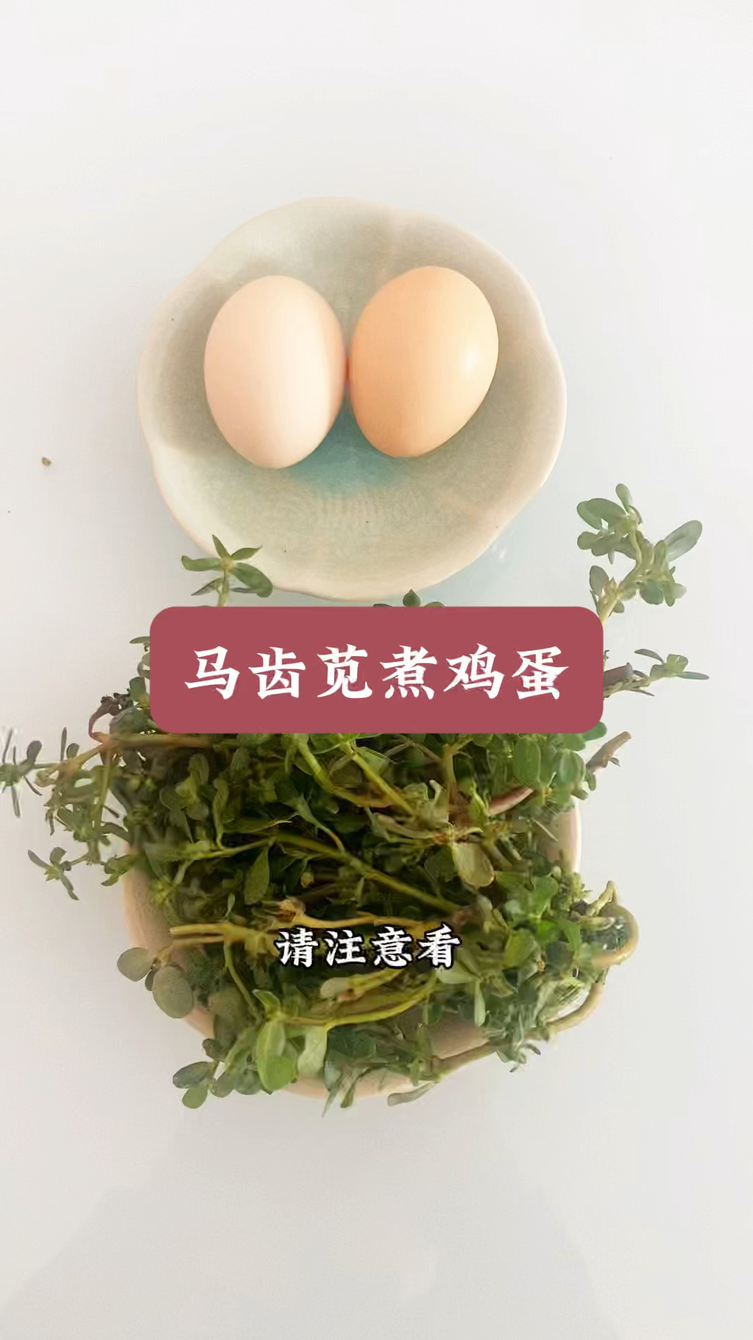 马齿苋煮鸡蛋,没想到那么好的作用、经济又实用
