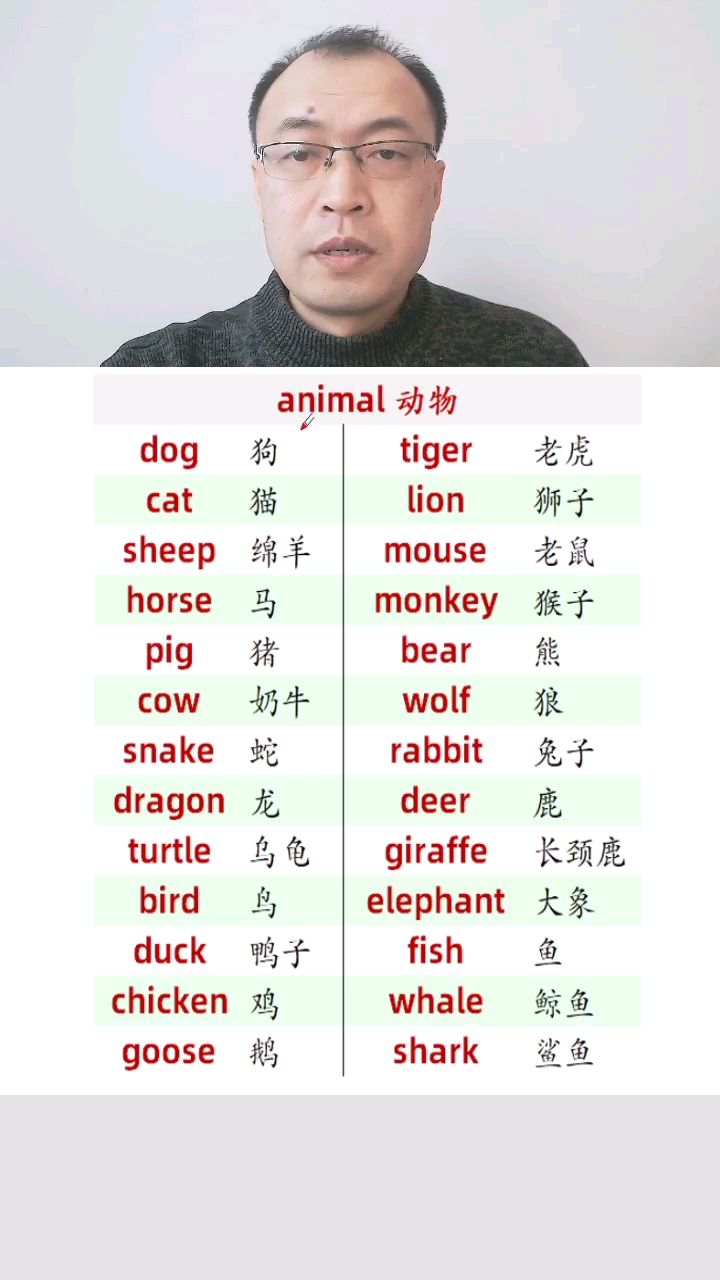 英语单词:动物的单词