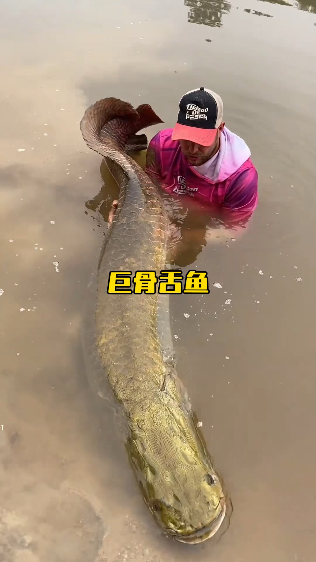 巨骨舌鱼已经在地球上生存了一亿年左右