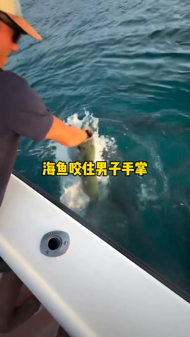 海鱼一口咬住了男子手掌