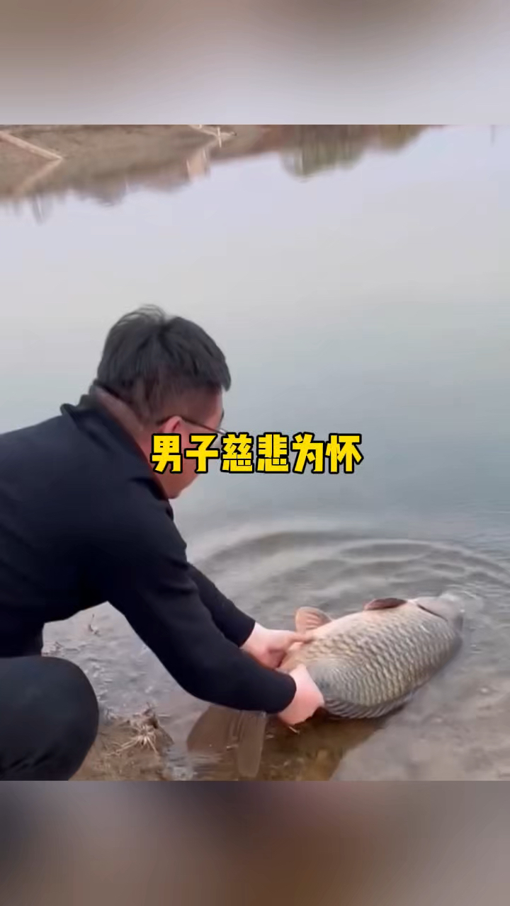 男子慈悲为怀,将怀孕的鱼儿放生