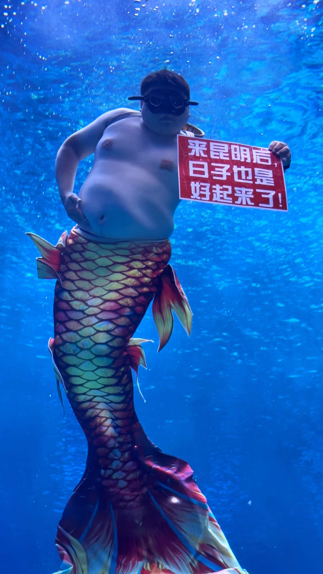 昆明融创海世界从北方运过来200斤胖人鱼，神似“儒艮”，很可爱