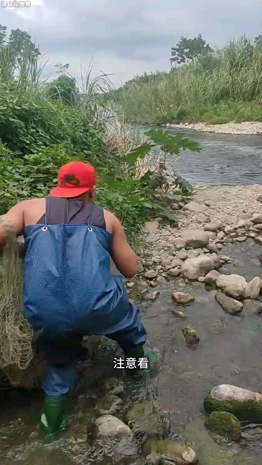 男人在小河里撒网捕鱼。