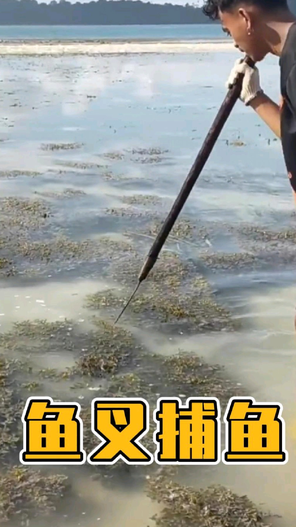 渔民在海滩上用鱼叉捕到一条石雕鱼。
