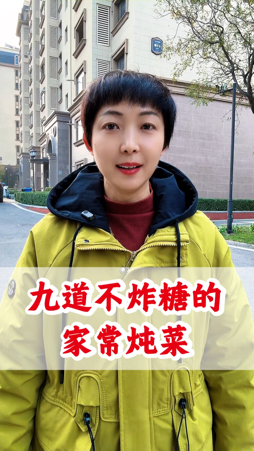 九道不炸糖的炖菜