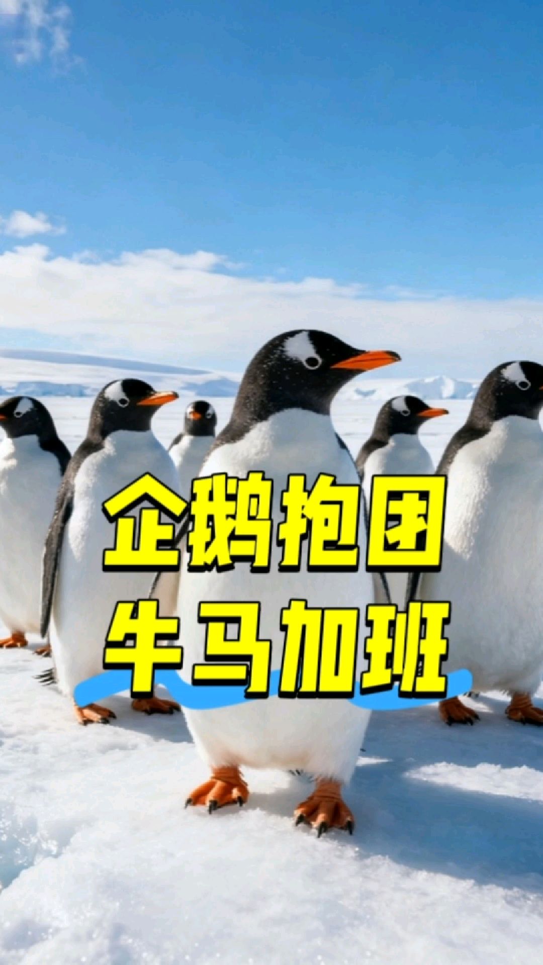 老俞南极看企鹅，员工工位当牛马，老板畅谈情怀，打工人共情不了