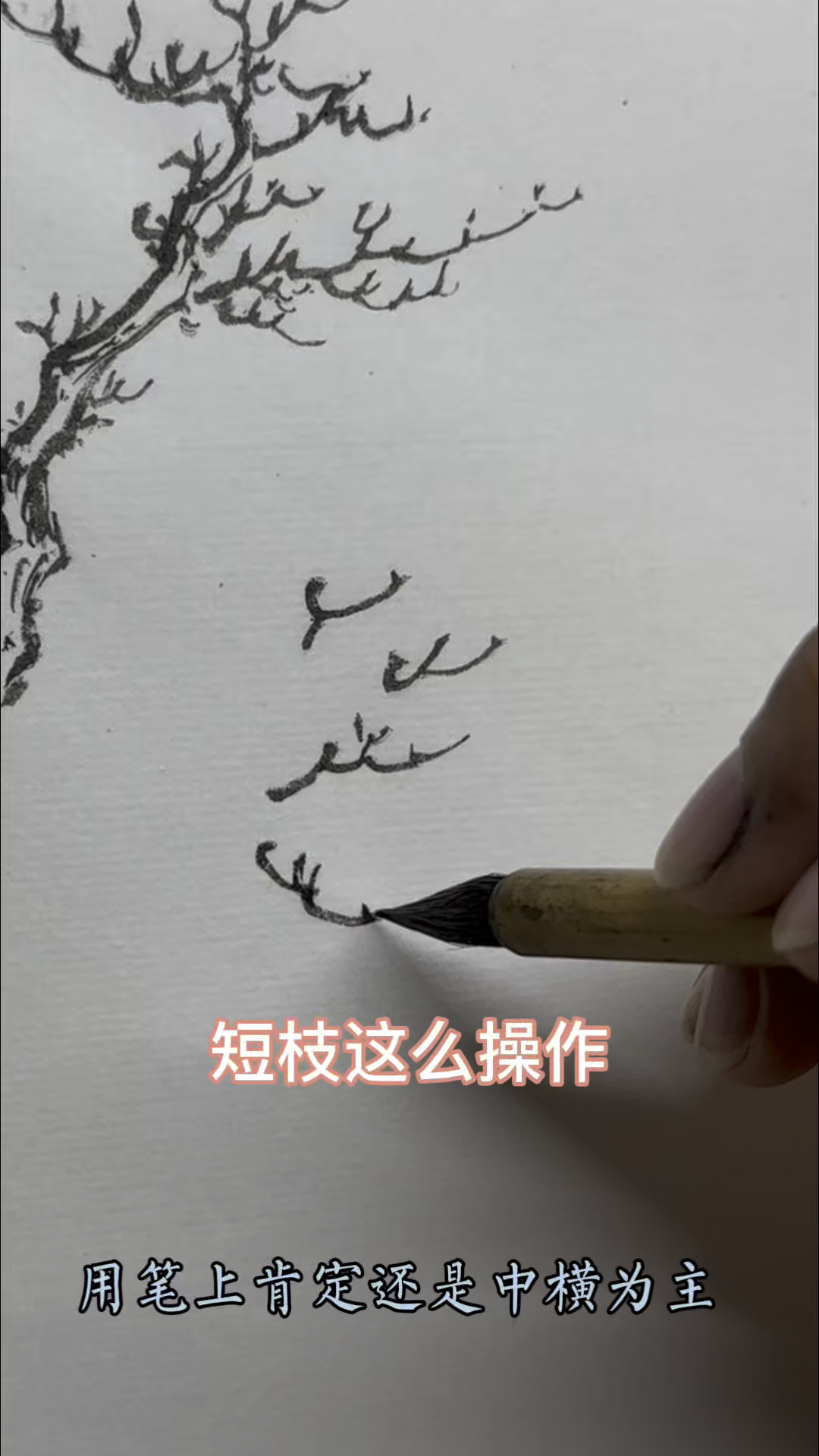 国画树法短枝技法
