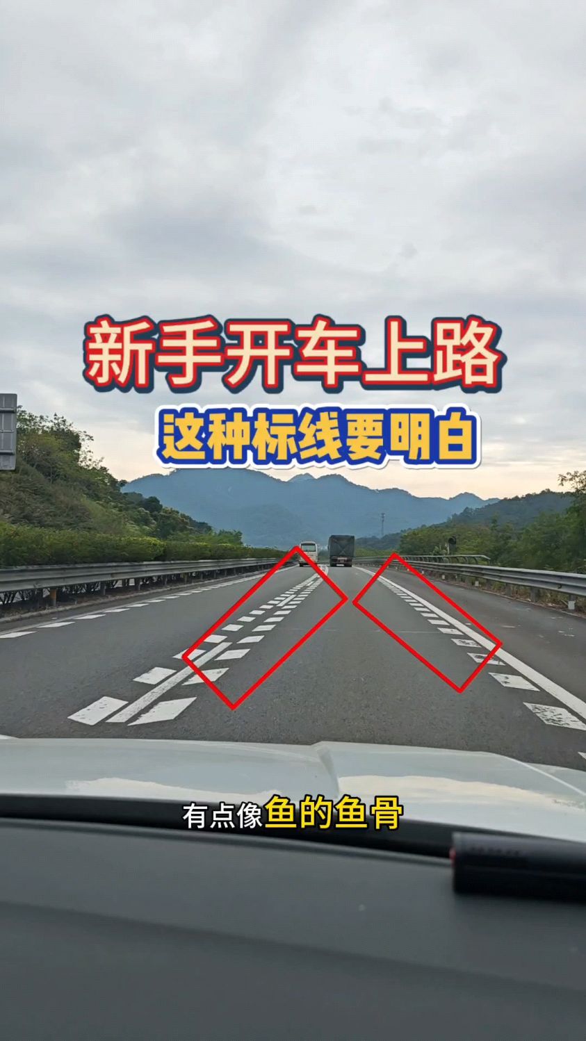 新手上路这种标线要明白