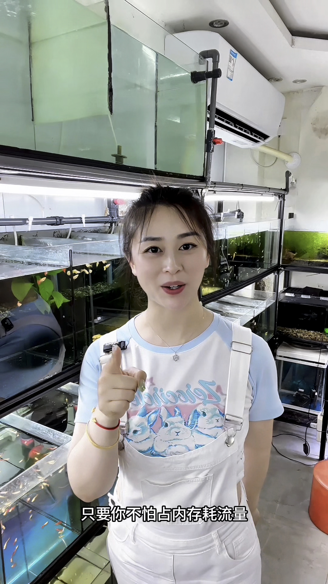 出于对各位孔雀鱼友的体贴,这个视频有点长,拍给你慢慢看完
