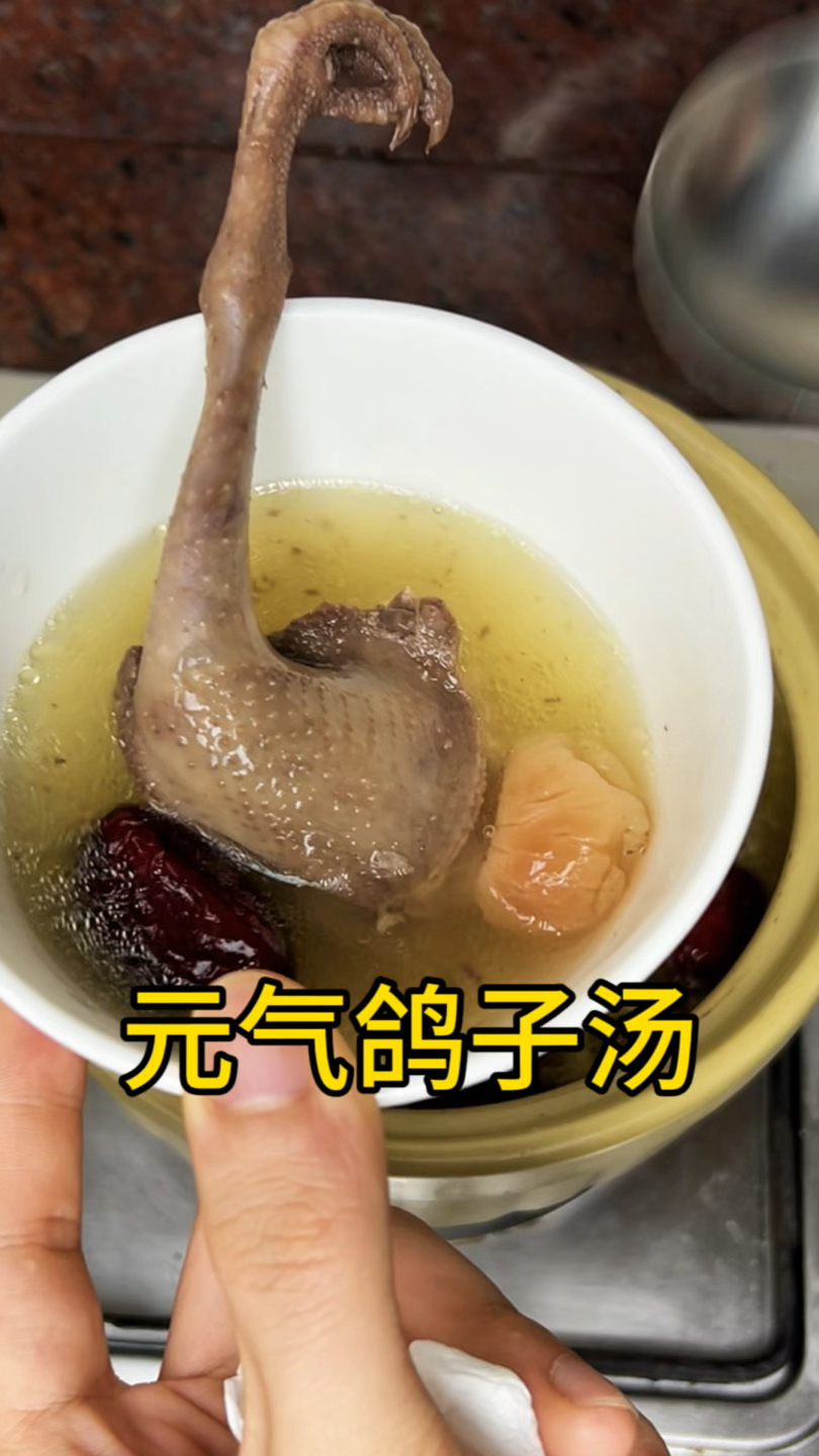 元气鸽子汤,滋补身体特别好
