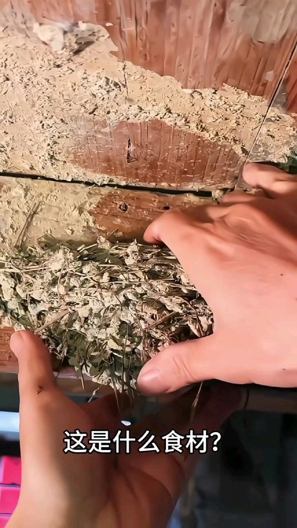 分享科普12种名贵食材,你吃过几种?