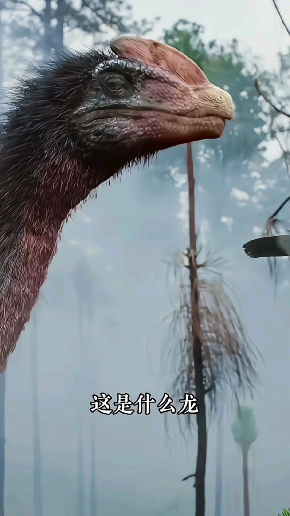 科普分享恐龙大图鉴,你认识几种?