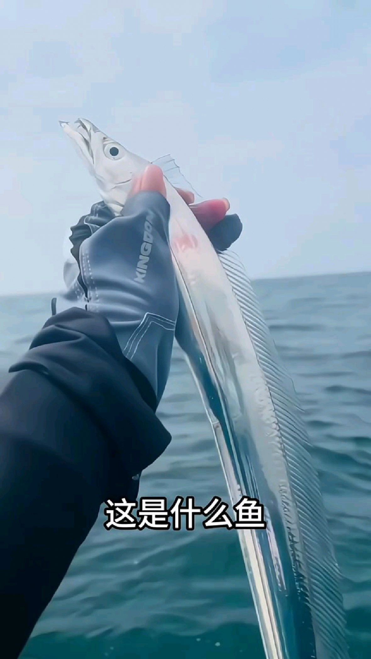 科普分享十五种市场常见的鱼类,哪个更美味?