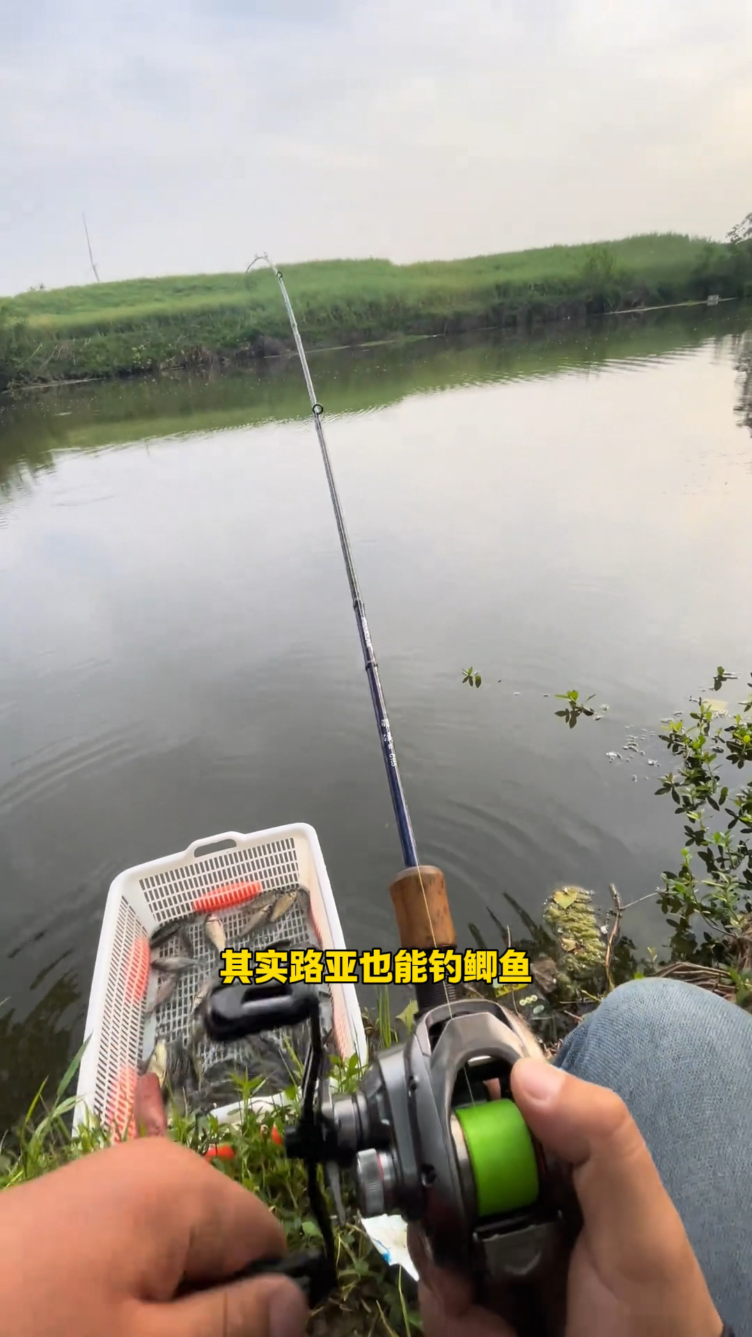 路亚逗钓球球钓组教学，一分钟就能学会，专钓大板鲫