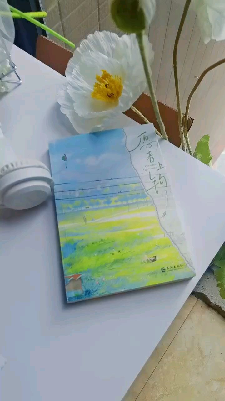 愿者上钩by西西特实体书