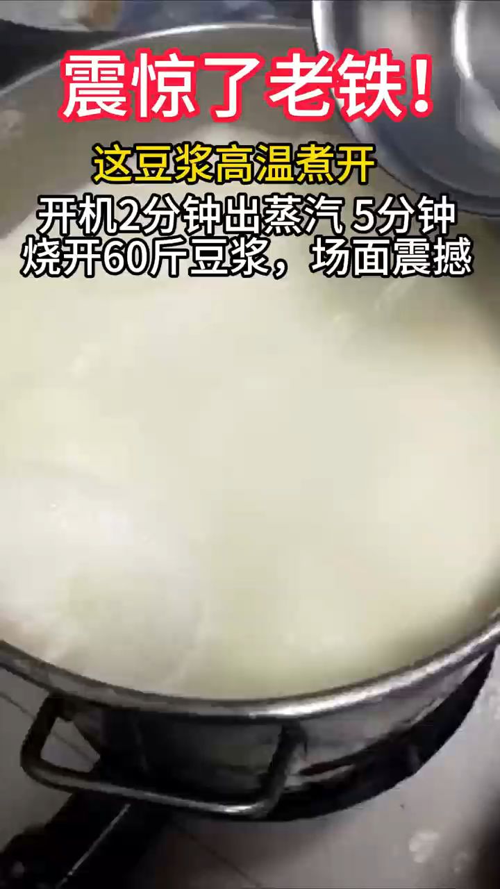 煮豆浆太爽太快的电蒸汽发生器